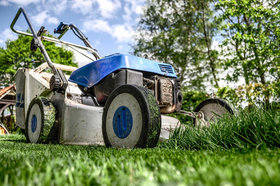 Professional lawn mower on green grass