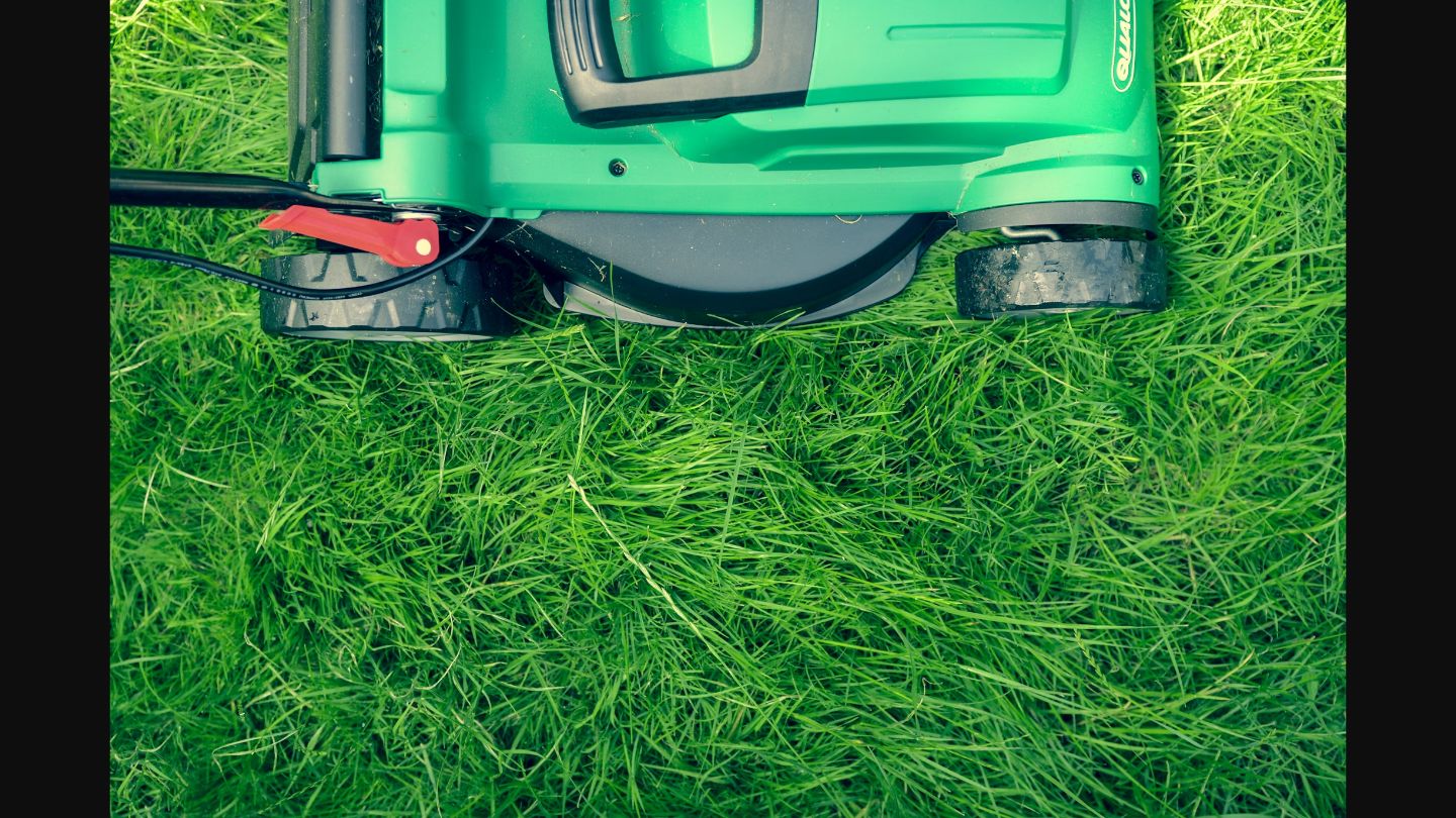 Lawn Care